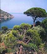 The Princes' Islands
